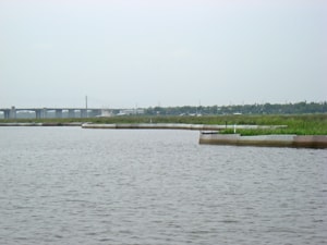 Gulf Fence Island